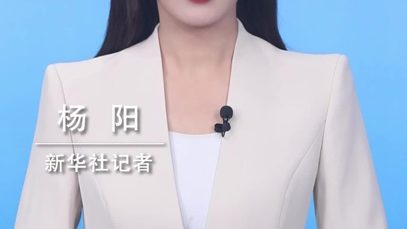 数据湖：企业大数据处理的未来基石