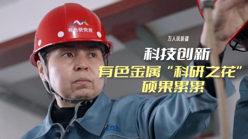 供应链管理平台实施流程：关键步骤与注意事项**